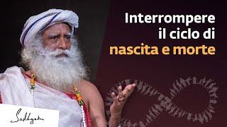 Andare oltre il ciclo di Nascita e Morte  | Sadhguru Italiano #karma