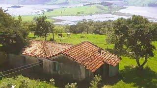 Esposa Escapa da Morte Mandando o Marido no Seu Lugar, Mas o Remorso Bateu Forte e Tudo Mudou