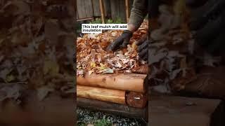 How to Rejuvenate your Soil at the end of season! #gardeningtips #wormcastings #compost