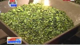 News to Go - The health benefits of malunggay on Eat and Go 3/16/11