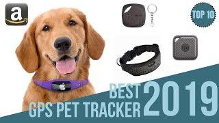 10 Best Gps Tackers for Pets 2019 / Find Your Pet / Top10 Bluetooth & GPS Pet Collar 2019