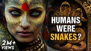 Hinduism Explains That Humans Evolved from Snakes - Mystery of Nagas