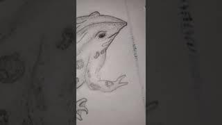 mendhak ka sketch  #AK sketch artist #shorts #class10science #frog #art #drawing #sketch #artist