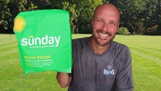 Sunday Smart Lawn Care REVIEW | The Better Lawn Service?