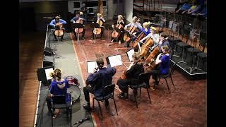 Gospel Train, arranged by Alan Stephenson. Performed by Cellists of Otago