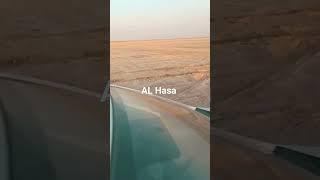 Al Hasa Asfar Lake