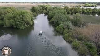 Excursii de o zi in Delta Dunării alaturi de Ciprian Safca. Discover Danube Delta with a local guide