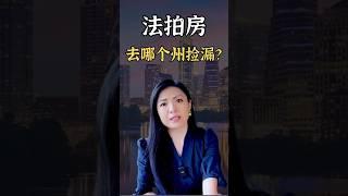 法拍房去哪个州捡漏？ #在美国买投资房 #美国投资 #怎么买第一套投资房 #美国房产