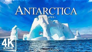 Antartica 4K - Journey Through Majestic Icebergs and Pristine Wilderness | Calming Music