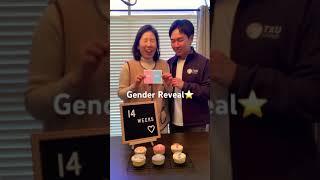 Gender Reveal⭐️ 골든이 성별 공개#오두방정 #난리법석  #Texas #baby #genderreveal