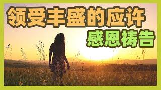 每早晨起床后第一件事就是感谢神|大声宣告|领受丰富的应许 【祷告种子】感恩祷告