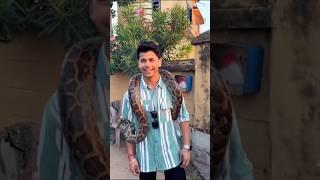 Got a new Friend in Srilanka  | Siddharth Nigam #vibhanigam #siddharthnigam #abhisheknigam #shorts