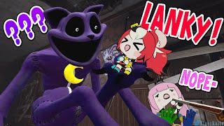 Bae can't stop laughing at Catnap being Lanky |【Poppy Playtime】