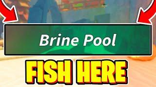 How To FISH IN BRINE POOL In Fisch! Roblox