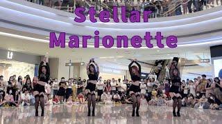 [K-POP IN PUBLIC]  Stellar (스텔라) - “Marionette(마리오네트)” Dance Cover By 985 From HangZhou