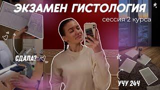 VLOG: ЭКЗАМЕН ПО ГИСТОЛОГИИ| 254 вопроса за 3 дня| СДАЛА???