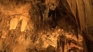 Inside the Stunning Wombeyan Caves, Blue Mountains | NSW National Parks