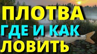 ПЛОТВА ГДЕ И КАК ЛОВИТЬ Оз. КОМАРИНОЕ фарм  РУССКАЯ РЫБАЛКА 4 /Russian Fishing 4 / РР4