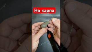 Снасть для рыбалки на карпа / карпфишинг / ловля карповая