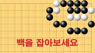 바둑 묘수 사활 - 감탄이 절로 나오는 묘수가 나옵니다! 백을 꼭 잡아보세요