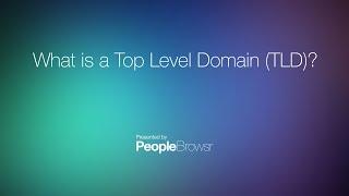 What is a Top Level Domain (TLD)?