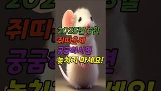 2025년 6월 쥐띠 운세 총정리 재물운 직장운 연애운 행운까지 핵심만 한눈에!