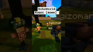 EchoWorld класс [воин]