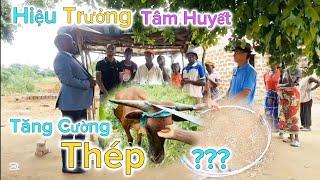 Huy Khánh Vlogs || Hiệu Trưởng Trường Sacrificil Bất Ngờ Thăm Bản - Tăng Cường Chất Thép Chuồng Bò ?