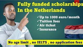 Netherlands scholarships for international students 2024. how to apply NL scholarships for MSc&BSC