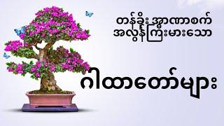 စကြာ၀ဠာ ကုဋေတစ်သိန်းတိုင် တန်ခိုးပျံ့နှံသောမြတ်ဗုဒ္ဓ၏ နှုတ်ထွက် ဓမ္မစက် သစ္စာပြု ဂါထာတော်များ