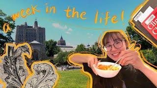 Week in the life of a Yale Summer Session student!