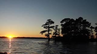 Fall at Reelfoot Lake