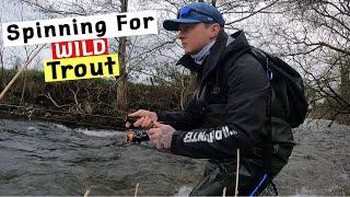 Spinning for WILD River Trout