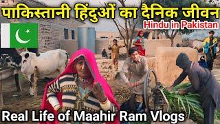 Daily life of hindus in Pakistan  | Pakistani Hindu Youtuber Life | Real life of Maahir Ram Vlogs