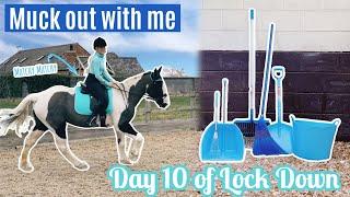 Muck Out With Me, New Matchy Matchy Set & Grooming Danny | Barn Vlog | Lock Down Day 10