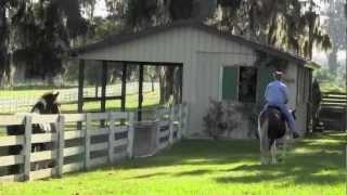 SOLD Gorgeous SE Ocala Mini Farm For Sale - Live in Luxury, Ride from Home