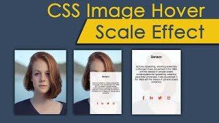 CSS Image Hover Scale Effect | csPoint web designing tutorials