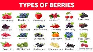 List of Berry | Types of Berries in English with pictures #berries