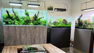 Aquascaping Showroom Update, new aquascapes, new equipment 