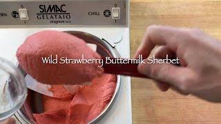 Wild Strawberry Buttermilk Sherbet