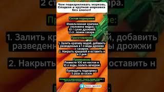 Чем подкармливать морковь. Слaдкая и крупная морковка без хлопот!