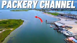 Packery Channel Flats Fishing is on FIRE! (Corpus Christi TX)