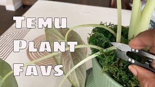 Favorite Temu Plant Products /Bargain Plant Supplies / Temu Haul