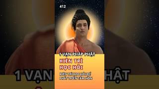 Lời Phật Dạy Về Kiên Trì: Hành Trình Tìm Kiếm Bình An Và Sự Thấu Hiểu #loiphatday