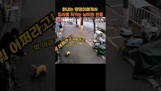 화내는 댕댕이에게서 집사를 지키는 냥이의 반응
