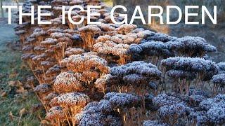 The Ice Garden