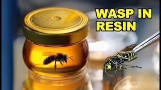 Wasp in Epoxy Resin. Levitating Wasp in a Jar. RESIN ART