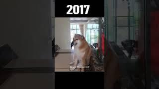 Memes Then Vs Now  (2023) #shorts #memes #meme #now #doge