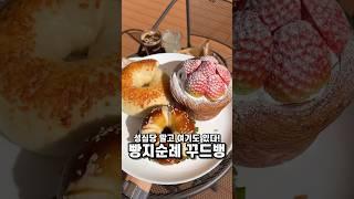 이걸 안 보면 빵친자가 아닌걸로