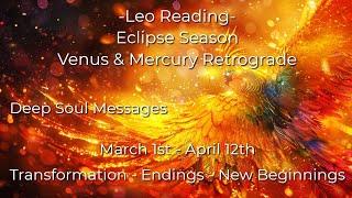 ️Leo | Stepping Through The Portal.  A New Reality Awaits!